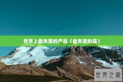 世界上最失望的产品（最失望的是）