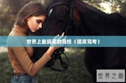 世界上最搞笑的驾校（搞笑驾考）