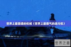 世界上最霸道的机械（世界上最霸气的战斗机）