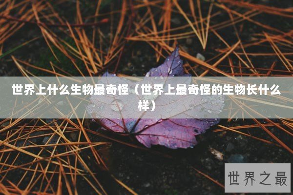 世界上什么生物最奇怪（世界上最奇怪的生物长什么样）