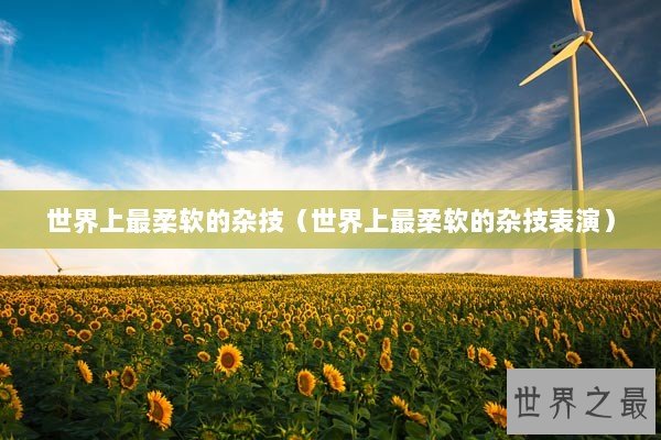 世界上最柔软的杂技（世界上最柔软的杂技表演）