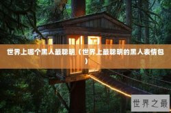 世界上哪个黑人最聪明（世界上最聪明的黑人表情包）
