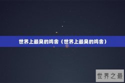 世界上最臭的鸡舍（世界上最臭的鸡舍）