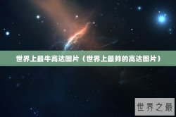 世界上最牛高达图片（世界上最帅的高达图片）