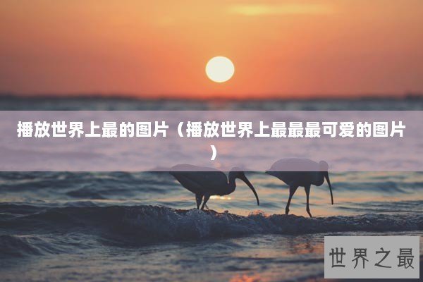播放世界上最的图片（播放世界上最最最可爱的图片）
