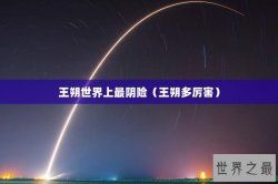 王朔世界上最阴险（王朔多厉害）