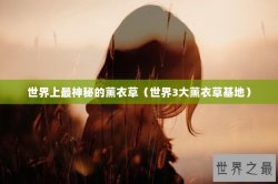 世界上最神秘的薰衣草（世界3大薰衣草基地）