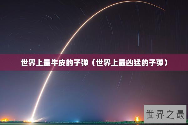 世界上最牛皮的子弹（世界上最凶猛的子弹）