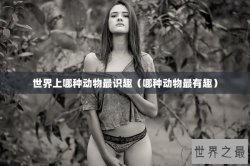 世界上哪种动物最识趣（哪种动物最有趣）