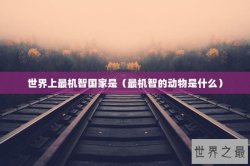 世界上最机智国家是（最机智的动物是什么）