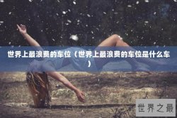 世界上最浪费的车位（世界上最浪费的车位是什么车）