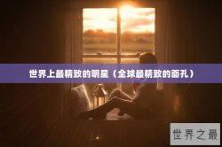 世界上最精致的明星（全球最精致的面孔）
