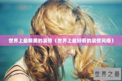 世界上最精美的装修（世界上最好看的装修风格）