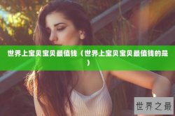 世界上宝贝宝贝最值钱（世界上宝贝宝贝最值钱的是）