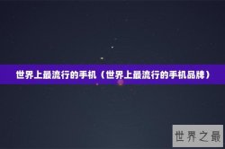 世界上最流行的手机（世界上最流行的手机品牌）