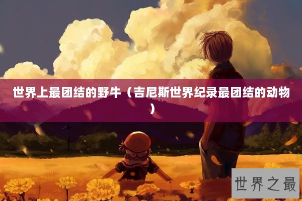 世界上最团结的野牛（吉尼斯世界纪录最团结的动物）