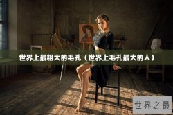 世界上最粗大的毛孔（世界上毛孔最大的人）