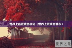 世界上最荒废的机场（世界上荒废的城市）