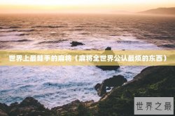 世界上最棘手的麻将（麻将全世界公认最烦的东西）