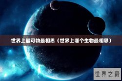 世界上最可物最相思（世界上哪个生物最相思）
