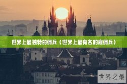 世界上最独特的佣兵（世界上最有名的雇佣兵）