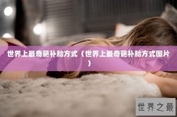 世界上最奇葩补胎方式（世界上最奇葩补胎方式图片）