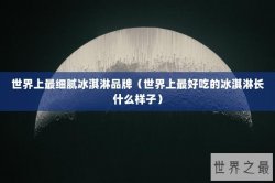 世界上最细腻冰淇淋品牌（世界上最好吃的冰淇淋长什么样子）