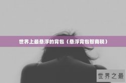 世界上最悬浮的背包（悬浮背包智商税）