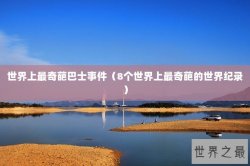 世界上最奇葩巴士事件（8个世界上最奇葩的世界纪录）