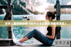 世界上最仿真的花（哪种仿真花看起来最像真花）