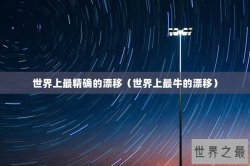 世界上最精确的漂移（世界上最牛的漂移）