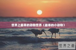 世界上最乖的动物世界（最乖的小动物）