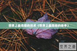 世界上最危险的剑术（世界上最危险的杀手）