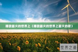 播放最火的世界上（播放最火的世界上最火的歌）