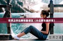 世界上什么赛车最便宜（什么赛车最厉害）