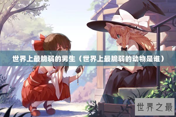 世界上最脆弱的男生（世界上最脆弱的动物是谁）