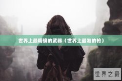 世界上最精确的武器（世界上最准的枪）