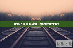 世界上最火的战术（世界战术大全）