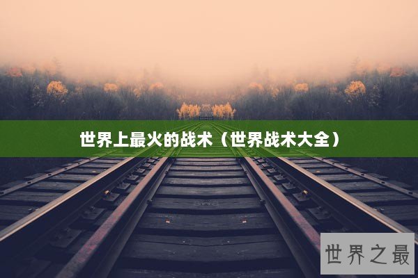 世界上最火的战术（世界战术大全）