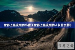 世界上最流氓的小猪（世界上最流氓的人长什么样）