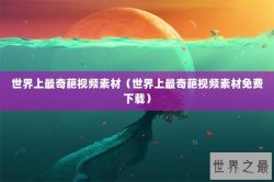 世界上最奇葩视频素材（世界上最奇葩视频素材免费下载）