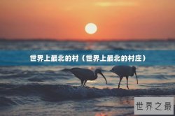 世界上最北的村（世界上最北的村庄）