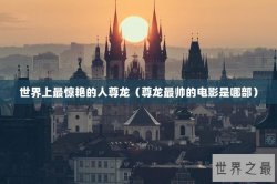 世界上最惊艳的人尊龙（尊龙最帅的电影是哪部）