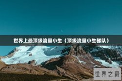 世界上最顶级流量小生（顶级流量小生梯队）