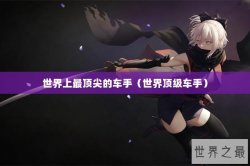 世界上最顶尖的车手（世界顶级车手）