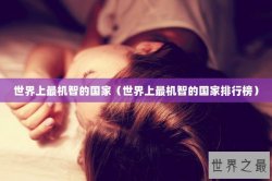 世界上最机智的国家（世界上最机智的国家排行榜）