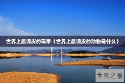 世界上最调皮的玩家（世界上最调皮的动物是什么）