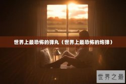 世界上最恐怖的弹丸（世界上最恐怖的炮弹）