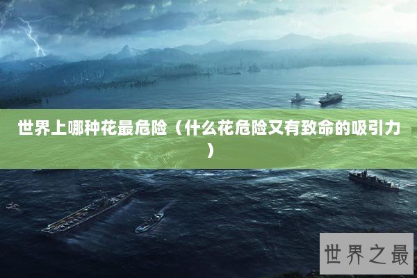 世界上哪种花最危险（什么花危险又有致命的吸引力）