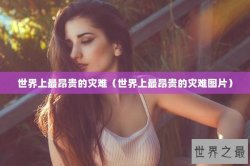 世界上最昂贵的灾难（世界上最昂贵的灾难图片）